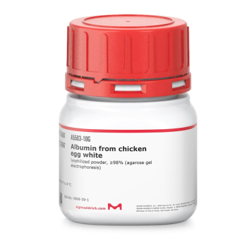 Sigma-Aldrich A5503 Albumin from chicken egg white lyophilized powder, ≥98% (agarose gel electrophoresis) CAS No.: 9006-59-1 10 gr