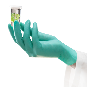 Ansell MICROFLEX® NeoTouch™ 25-101 Neopren  Laboratuvar Eldiveni Small (6.5 - 7) 100 Adet/Kutu