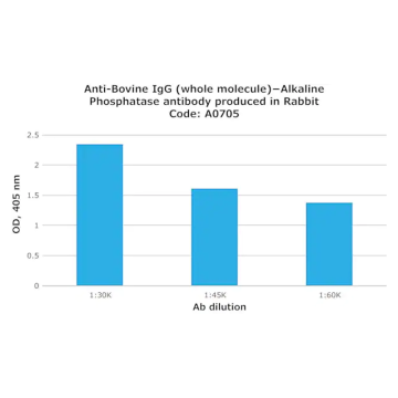Sigma-Aldrich A0705 Anti-Bovine IgG (whole molecule)−Alkaline Phosphatase antibody produced in rabbit affinity isolated antibody 0.25 mL