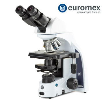 euromex IS.1158‑PLPHi Binoküler Faz Kontrast Mikroskobu EWF 10x/22 mm Oküler Plan Phase PLPHi 10/20/S40/S100x Oil IOS Objektifler 3 W NeoLED™ Köhler Aydınlatma