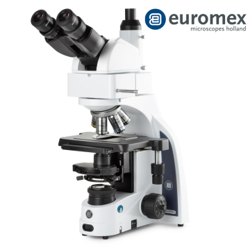 euromex IS.1159‑PLPHi Binoküler Faz Kontrast Mikroskobu EWF 10x/22 mm Oküler Plan Phase PLPHi 10/20/S40/S100x Oil IOS Objektifler 3 W NeoLED™ Köhler Aydınlatma