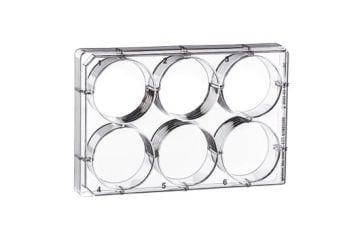 greiner BIO-ONE 657160 Hücre Kültürü için MULTIWELL PLATE 6 WELL, PS, CLEAR 100 Adet / Koli