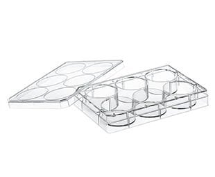 greiner BIO-ONE 657160 Hücre Kültürü için MULTIWELL PLATE 6 WELL, PS, CLEAR 100 Adet / Koli