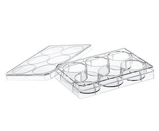 greiner BIO-ONE 657185 Süspansiyon Kültürü için MULTIWELL PLATE 6 WELL, PS, CLEAR, LID WITH CONDENSATION RINGS, STERILE, SINGLE PACKED