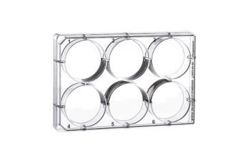 greiner BIO-ONE 657185 Süspansiyon Kültürü için MULTIWELL PLATE 6 WELL, PS, CLEAR, LID WITH CONDENSATION RINGS, STERILE, SINGLE PACKED