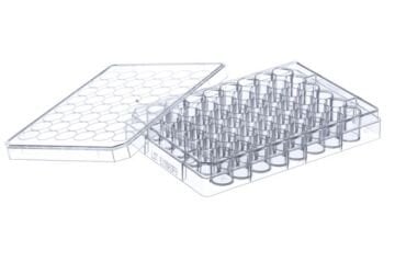 greiner BIO-ONE 677180 Hücre Kültürü için MULTIWELL PLATE 48 WELL, PS, CLEAR, CELLSTAR®, TC, LID WITH CONDENSATION RINGS, STERILE, SINGLE PACKED 100 Adet / Koli
