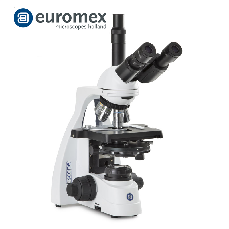 euromex BS.1153-PLPHi Trinoküler Mikroskop HWF 10x/20 mm Oküler Plan Phase PLPHi 10/20/S40/S100x Oil Infinity Corrected IOS Objektifler 3 W NeoLED™ Köhler Aydınlatma