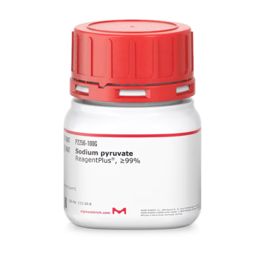Sigma Aldrich P2256 Sodium pyruvate ReagentPlus®, ≥99% 25 gr