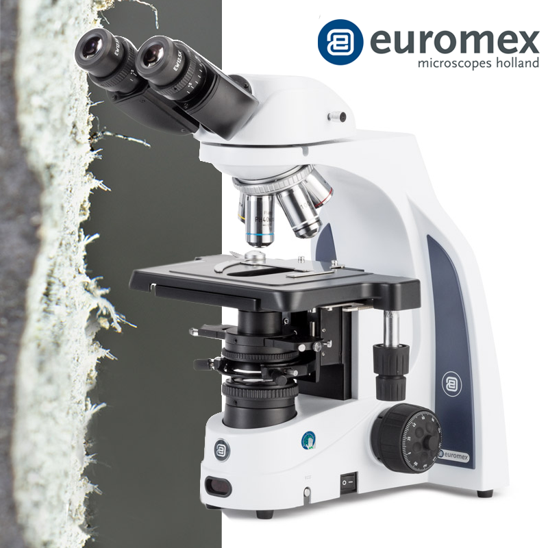 euromex IS.1052‑PLAi Binoküler Asbest Mikroskobu EWF 12.5x/15 mm Oküler Plan PLi 4x/0.10, 10x/0.25 ve Plan Phase PLPHi S40x/0.65 IOS Objektifler 3 W NeoLED™ brightfield Köhler Aydınlatma