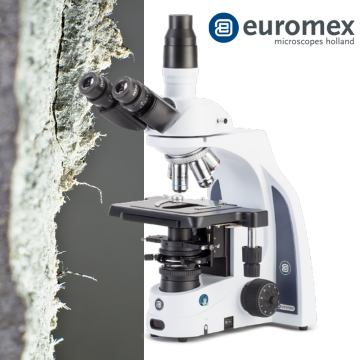 euromex IS.1053-PLAi Trinoküler Asbest Mikroskobu EWF 12.5x/15 mm Oküler Plan PLi 4x/0.10, 10x/0.25 ve Plan Phase PLPHi S40x/0.65 IOS Objektifler 3 W NeoLED™ brightfield Köhler Aydınlatma