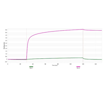 Sigma-Aldrich ZRB1681 Anti-Calreticulin Antibody, clone 1F16 ZooMAb® Rabbit Monoclonal recombinant, expressed in HEK 293 cells 25 µL