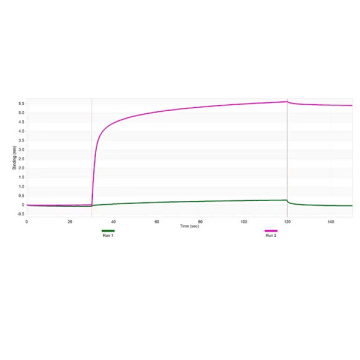 Sigma-Aldrich ZRB1681 Anti-Calreticulin Antibody, clone 1F16 ZooMAb® Rabbit Monoclonal recombinant, expressed in HEK 293 cells 4 x 25 µL