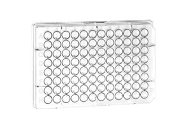 greiner BIO-ONE 650101 Mikroplate, 96 Kuyucuklu, PS, U-Taban, Şeffaf, 100 Adet / Kutu