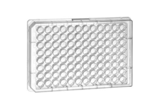 greiner BIO-ONE 650261 MICROPLATE, 96 WELL, PP, U-BOTTOM, NATURAL, STERİL 100 Adet / Kutu