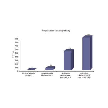 Sigma-Aldrich SAE0116 Heparanase-1 pre-activated human recombinant, expressed in HEK 293 cells 10 µg