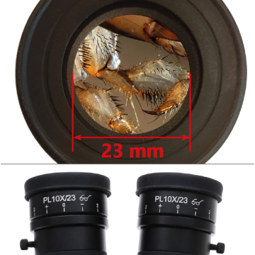 OPTIKA SZX-TA Trinoküler Stereo Zoom 6.5x-55x Mikroskop Başlığı