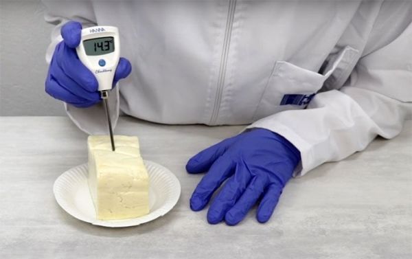 Hanna HI98501 Çok Hassas Problu Termometre 0.2ºC