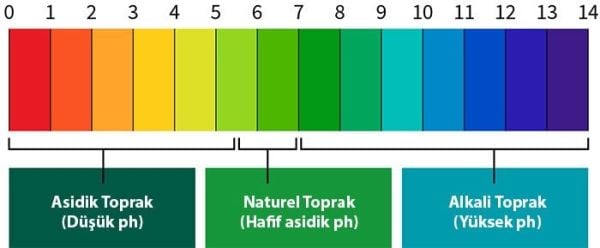 SS8685 Toprak Ph Ölçüm Seti