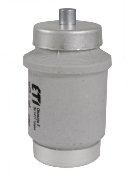 Eti DIV gG 100A/500V