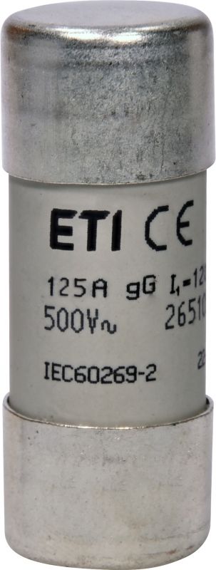 Eti CH22x58 gG 125A/500V
