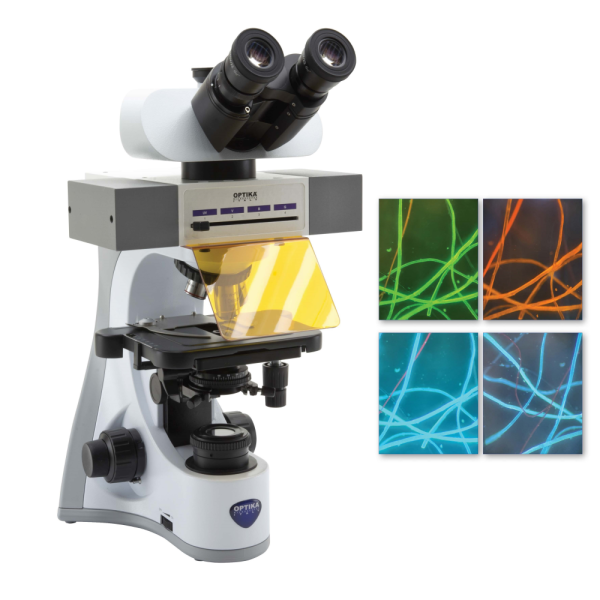 OPTIKA B-510LD4 Trinoküler LED Floresan Mikroskobu - Floresan Mikroskop