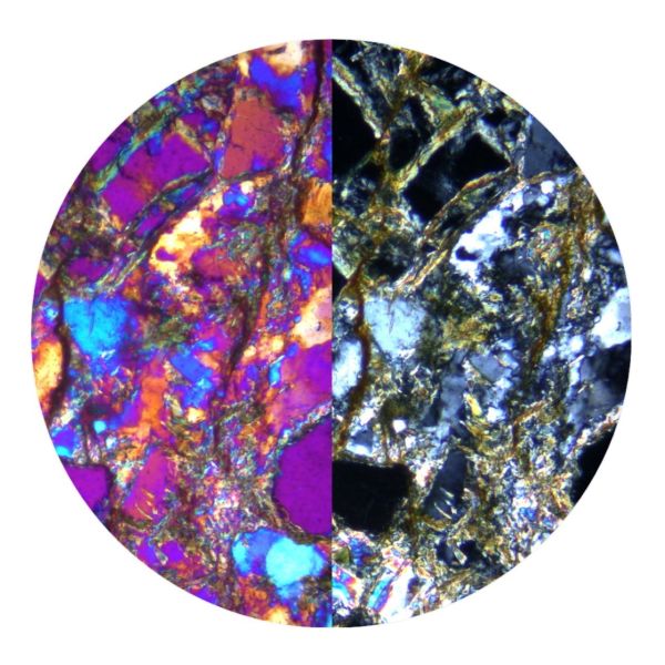 OPTIKA B-510POL Polarize Araştırma Mikroskobu - Trinoküler Mikroskop 400x