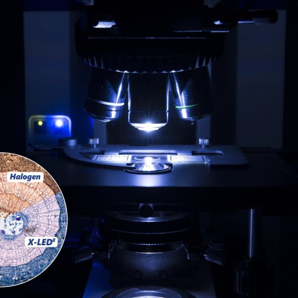 Optika B-1000 Modüler Mikroskop - Laboratuvar Araştırma Mikroskobu