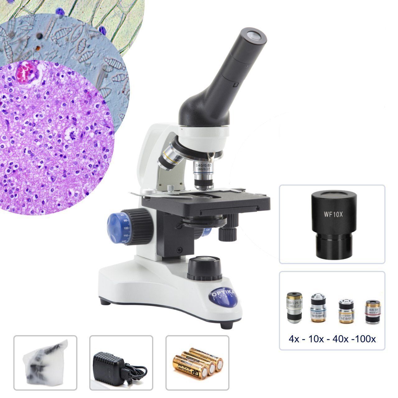 OPTIKA B-20CR LED Monoküler Mikroskop - Öğrenci Mikroskobu 4-10-40-100x Objektif