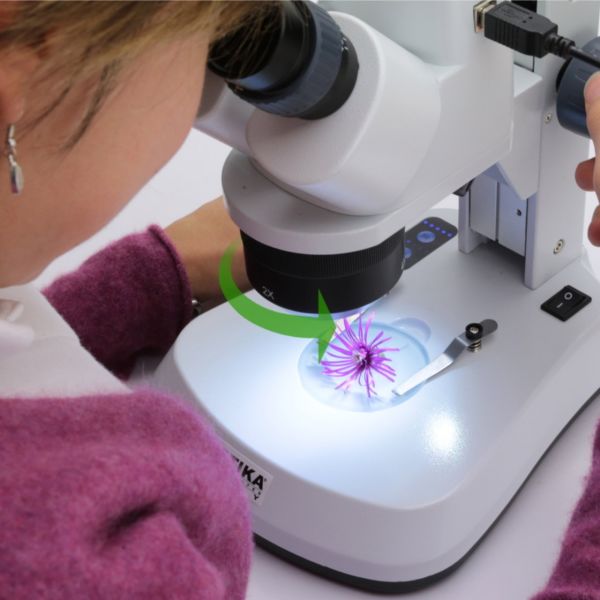 OPTIKA SFX-91 Binoküler Stereo Mikroskop
