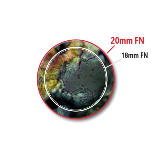 OPTIKA B-383PL Trinoküler Mikroskop - Laboratuvar Mikroskobu 1000x