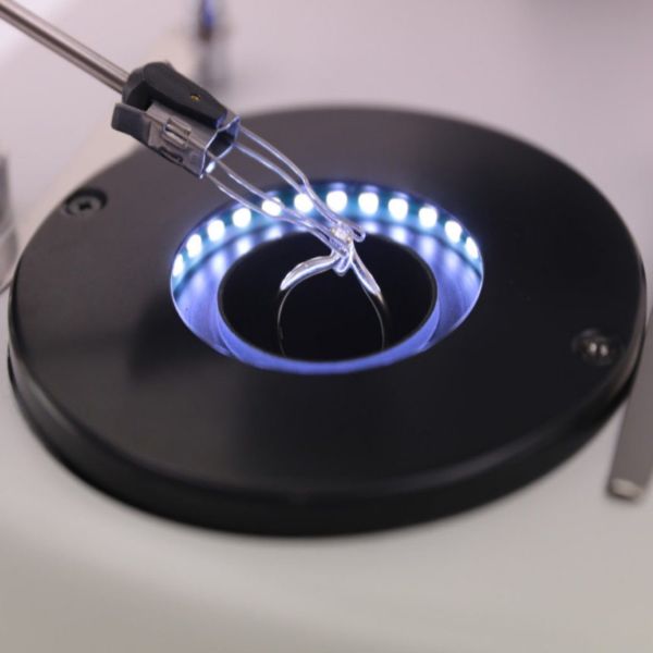 OPTIKA OPTIGEM-10 Binoküler Gemoloji Mikroskobu - Mücevher Analizi İçin Mikroskop