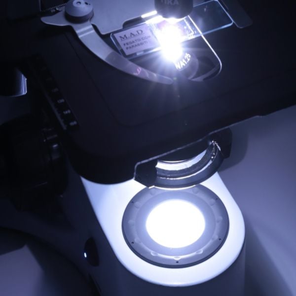 OPTIKA B-383PH Faz Kontrast Klinik Araştırma Mikroskobu - Trinoküler Mikroskop 1000x