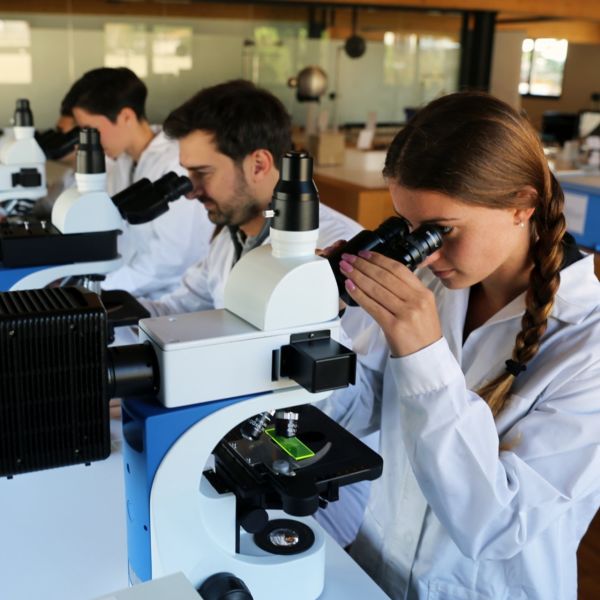 OPTIKA B-383LD Trinoküler Floresan Mikroskop - LED Araştırma Mikroskobu 1000x