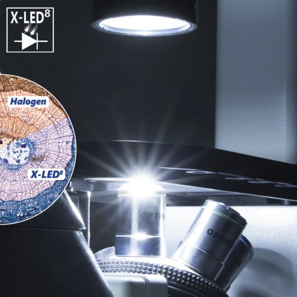 Optika IM-300 Inverted Faz-Kontrast Ters Mikroskop 400x - Trinoküler Mikroskop