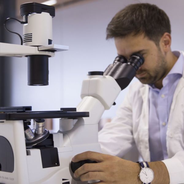 Optika IM-300 Inverted Faz-Kontrast Ters Mikroskop 400x - Trinoküler Mikroskop