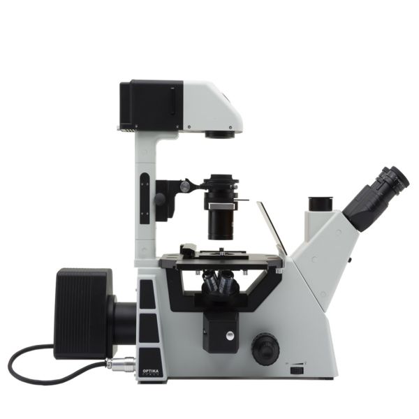 OPTIKA IM-5FLD Floresan Inverted Ters Araştırma Mikroskobu - Tinoküler Mikroskop