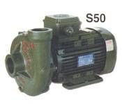 Alem Bertola S50 3 Hp 2,2 Kw 2'' Monofaze 220 Volt Su Pompası