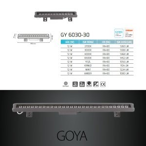 Goya 12W 3000K Sarı Işık Wallwasher GY 6030-30