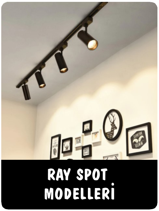 Ray Spot Modelleri