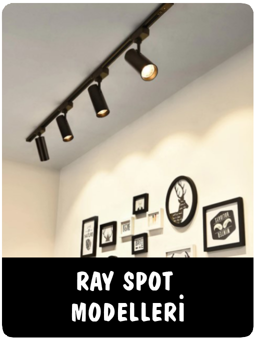Ray Spot Modelleri