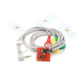 EMG Kas Sinyali Algılama Sensör Modülü BURENDEL