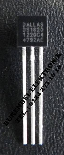 DS1820 DIP ENTEGRE
