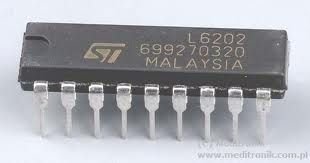 L6202 DİP ENTEGRE