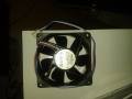 TYP 81412 N / 2GH ZP 12 V DC 235 mA 2.8 W TYP 81412 N / 2GH ZP  PAPST BURENDEL