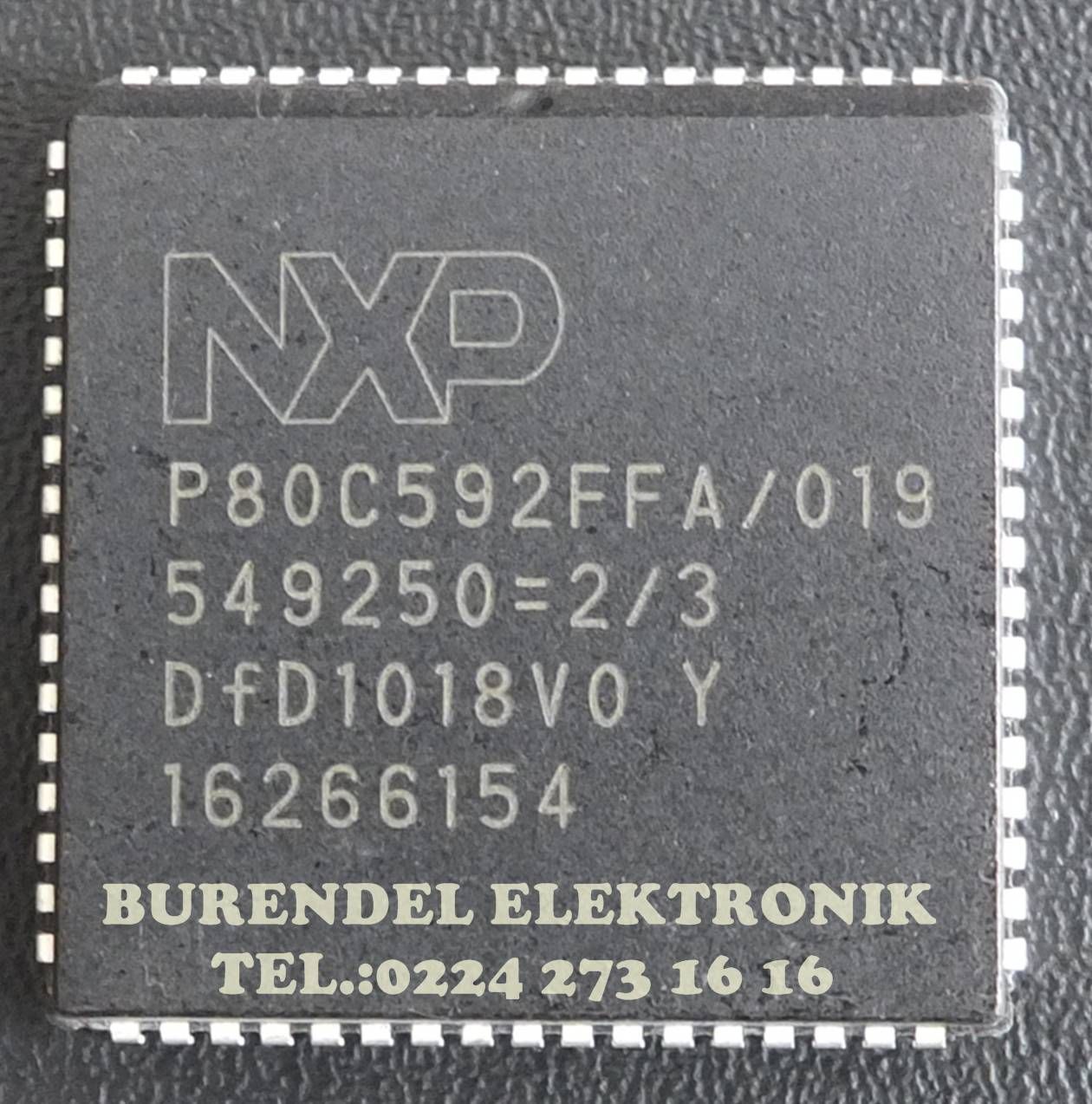 P80C592FFA PLCC ENTEGRE