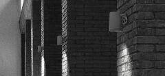 NY 9068.12113 LED Bitki Spotu