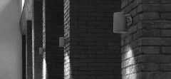 NY 9068.12113K LED Bitki Spotu
