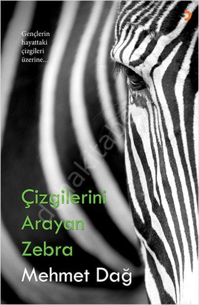 Çizgilerini Arayan Zebra, Cinius Yayınları
