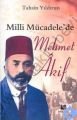 Milli Mücadele'de Mehmet Akif, Tahsin Yıldırım