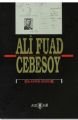 Ali Fuad Cebesoy - Ayfer Özçelik